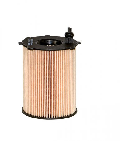 Olejov filtr Filtron pro motory 1.4 a 1.6 Blue HDi (Euro 6, 1610693780)